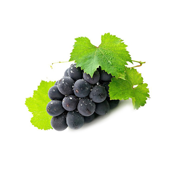 有机葡萄