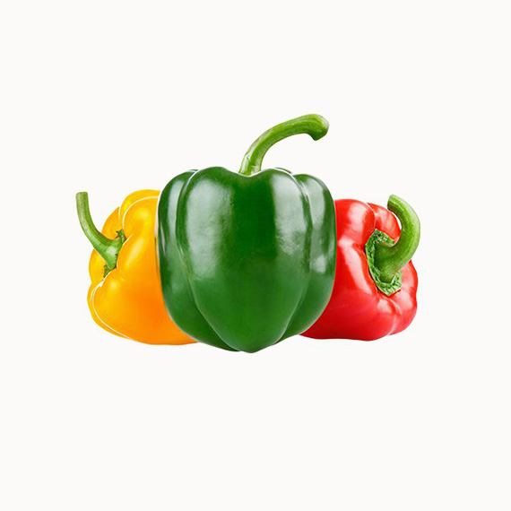 有机彩甜椒
