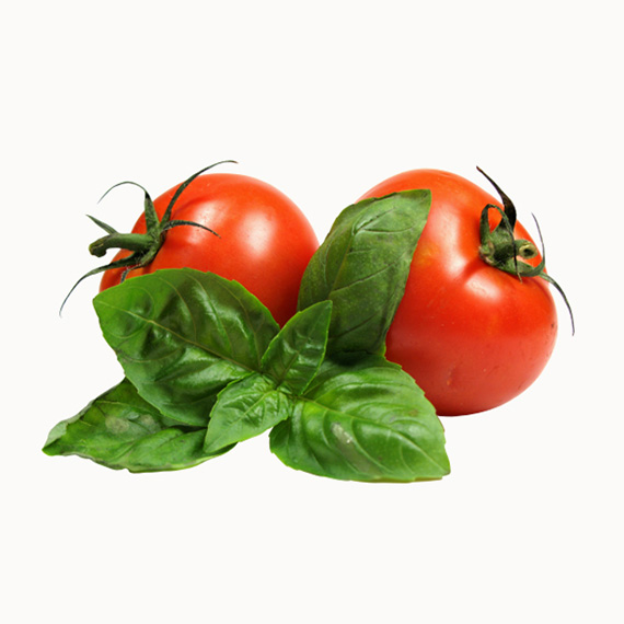 有机番茄